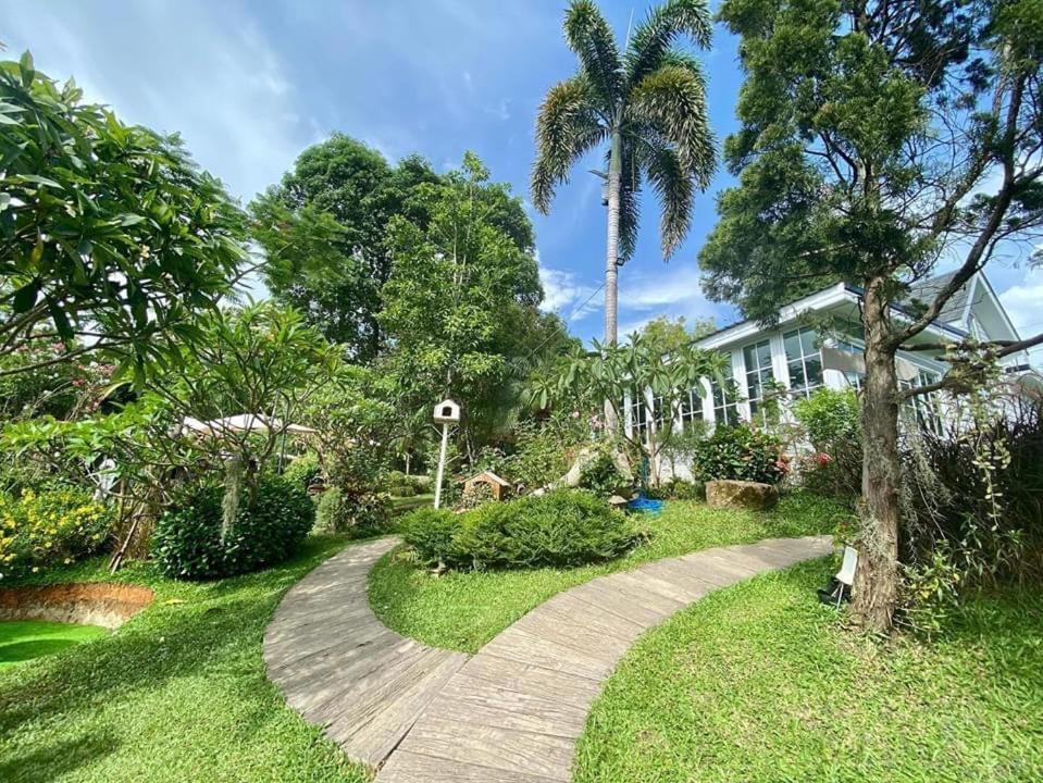 Baan Jaokorkluay บ้านเจ้ากอกล้วย Chiang Rai Exteriör bild