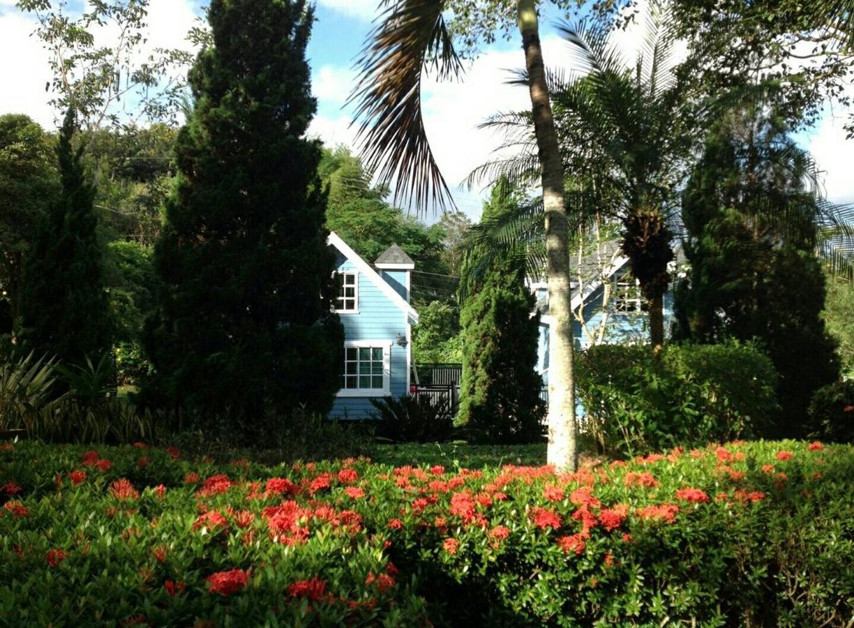 Baan Jaokorkluay บ้านเจ้ากอกล้วย Chiang Rai Exteriör bild