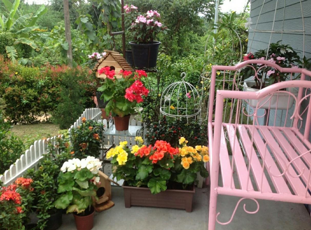Baan Jaokorkluay บ้านเจ้ากอกล้วย Chiang Rai Exteriör bild