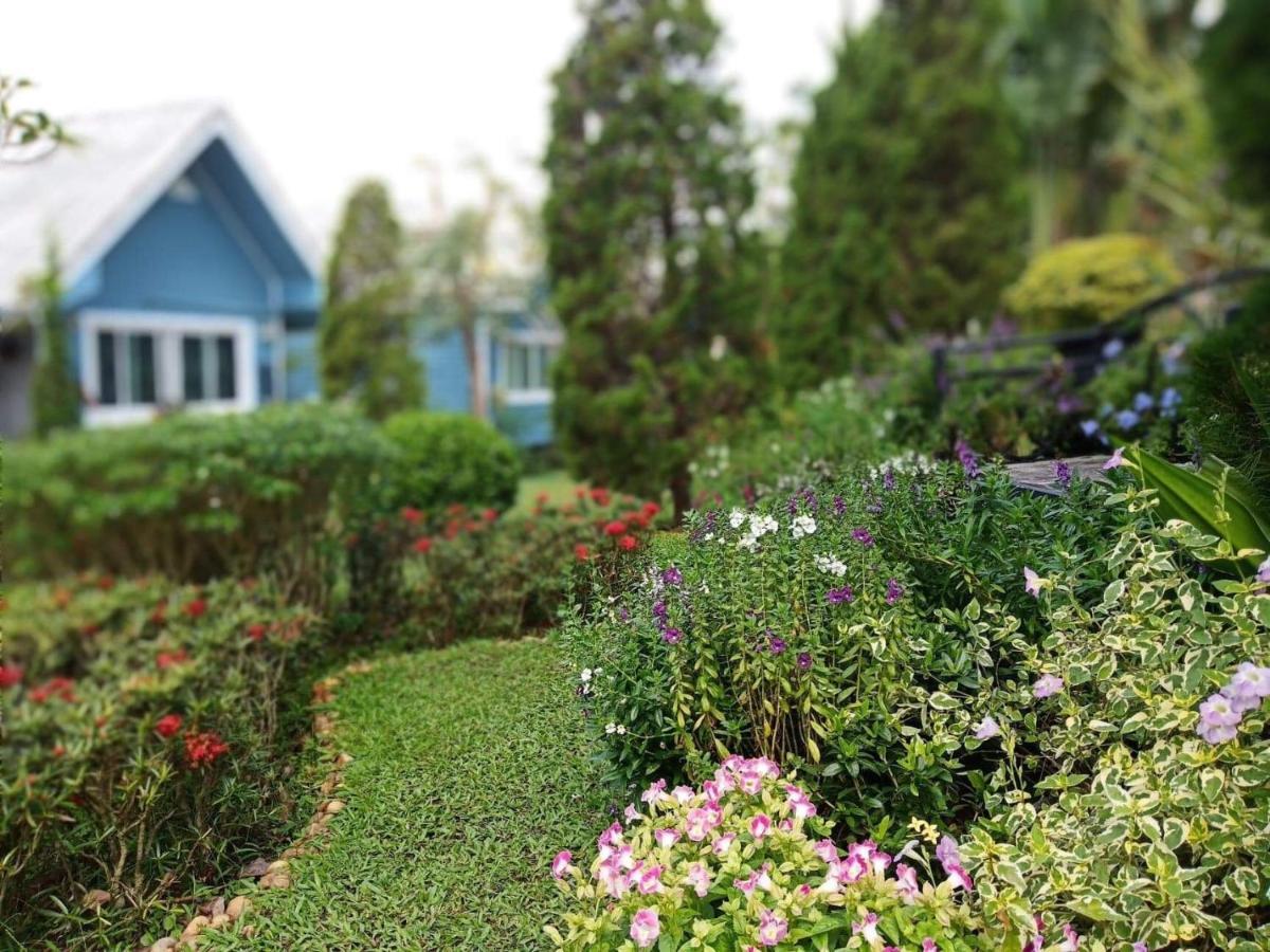 Baan Jaokorkluay บ้านเจ้ากอกล้วย Chiang Rai Exteriör bild